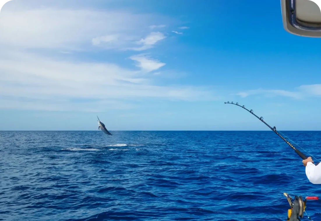 Angler battles marlin on open ocean